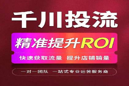 案例对比：SEO与SEM优化效果深度分析